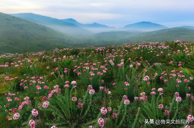 河南山西交界风景区,河南风景绝美的小县城