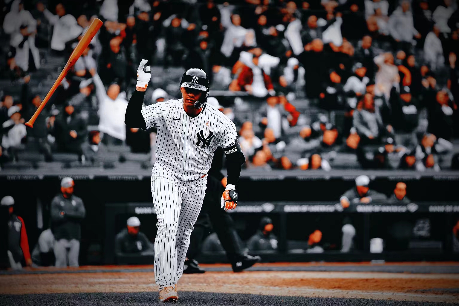 棒球规则从入门到精通,棒球规则详细讲解视频