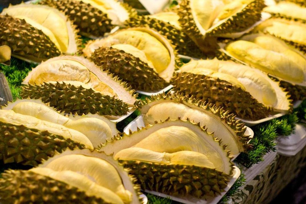 榴莲水果之王是真的吗,为什么水果中榴莲价格会很高