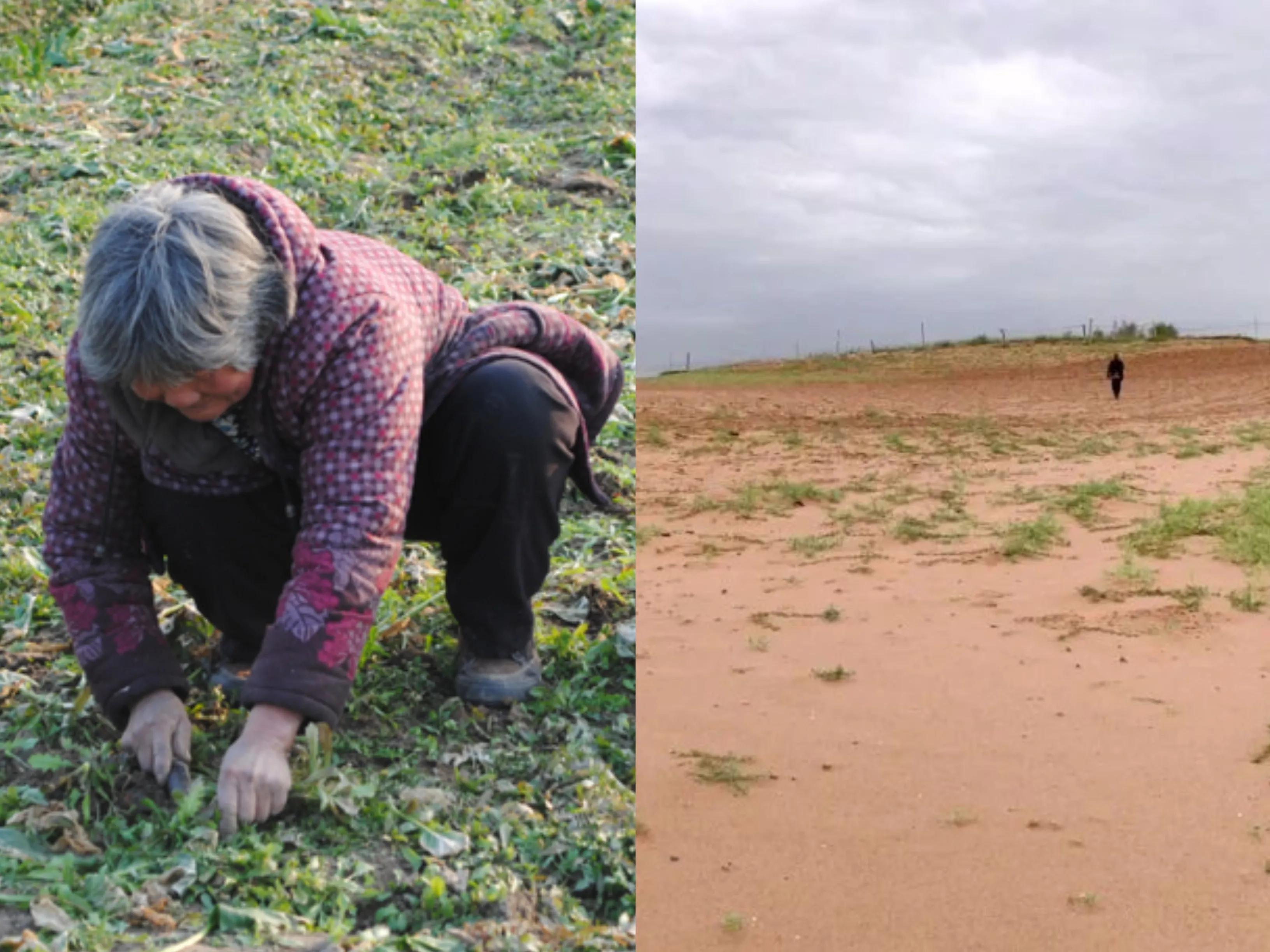 我亲身经历的社会事件作文,社会经历和感悟