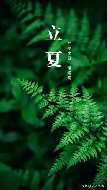 经典立夏祝福图片,立夏快乐图片祝福语