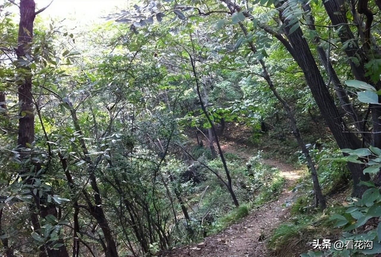 西平县107现在建的啥,1986河南驻马店西平