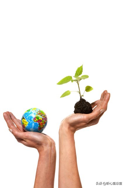 如何成为“国际郑”，城镇化率说明一切