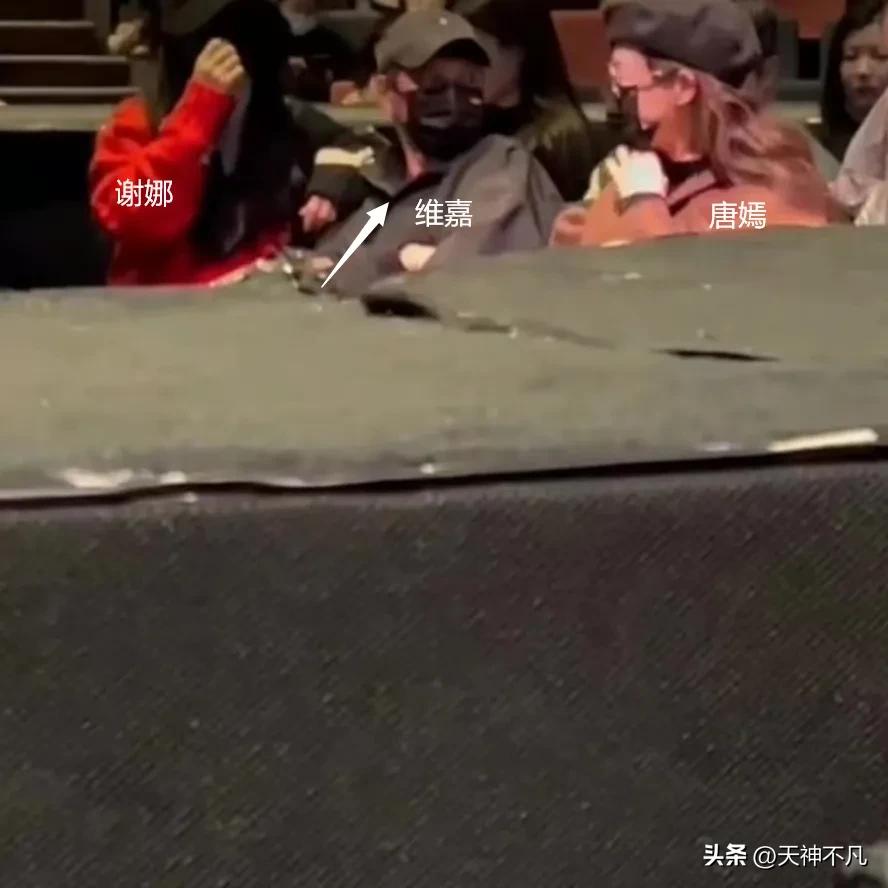 谢娜：我的老公出息了，事业全方面发展，以后就靠他养家了