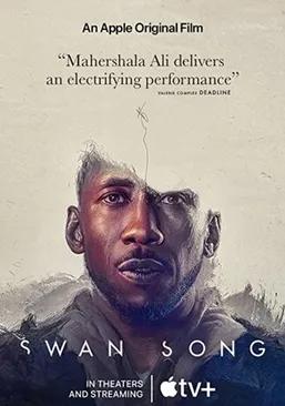 豆瓣2022冷门佳片,豆瓣十大冷门佳片