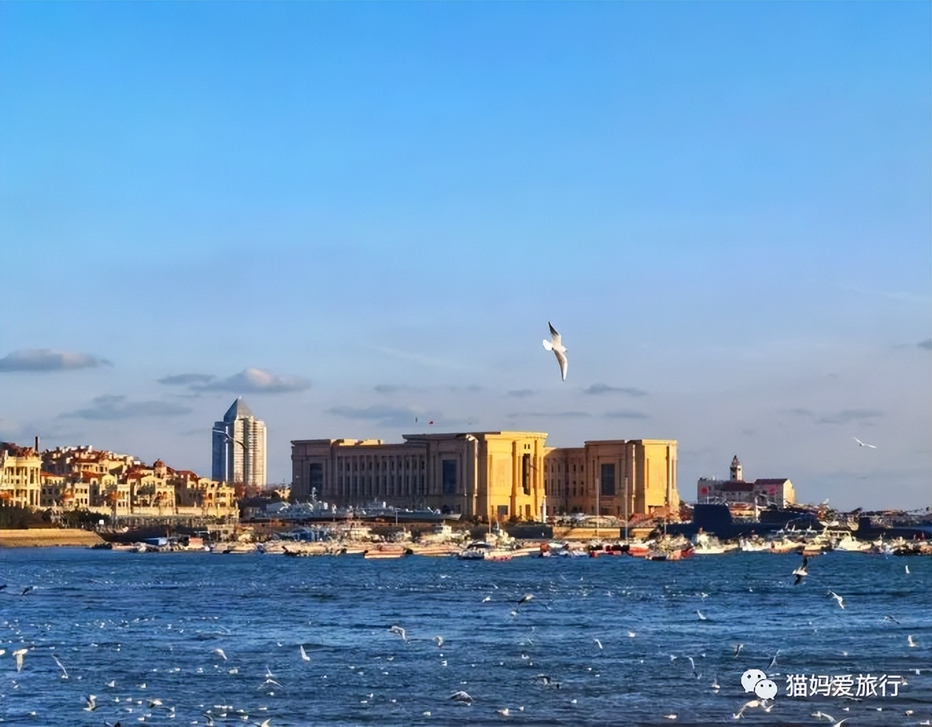 5天“趣”玩青岛，我的私藏遛娃路线