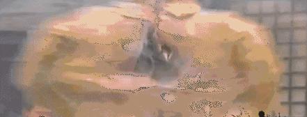 十大抗日神剧雷人桥段,抗日史上最雷人的抗日神剧