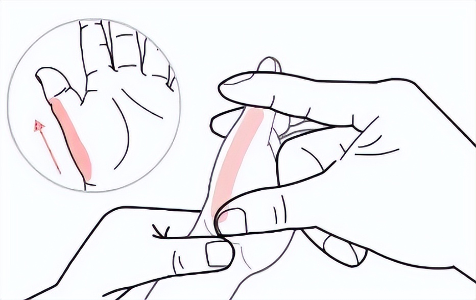 孩子食量大偏瘦是什么原因,孩子饭量很好却偏瘦偏矮为什么