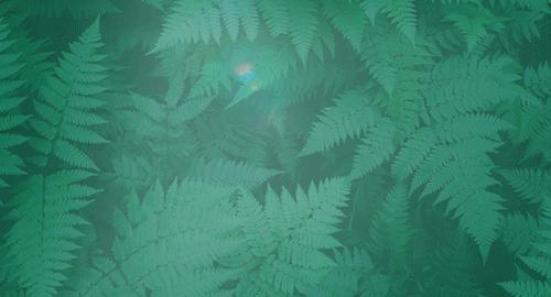 2023年高校毕业生就业创业政策,2024届中职毕业生就业创业补贴