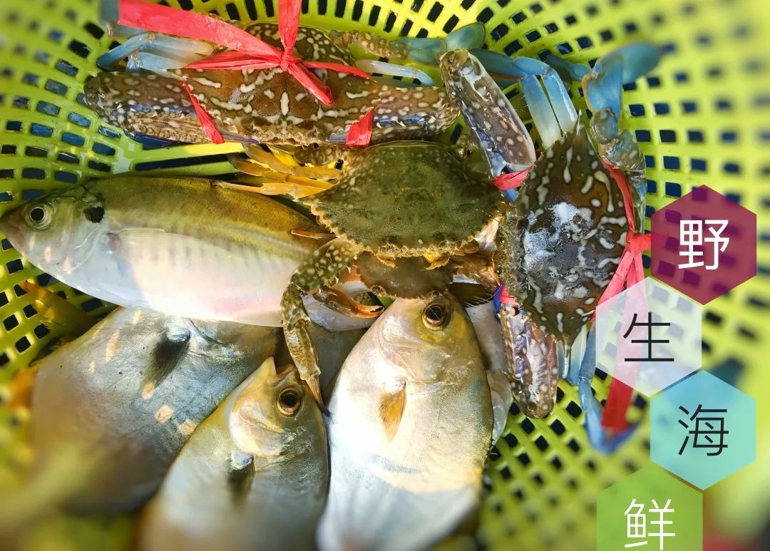 海南环岛自驾游及住宿,海南环岛自驾游美食攻略详细行程