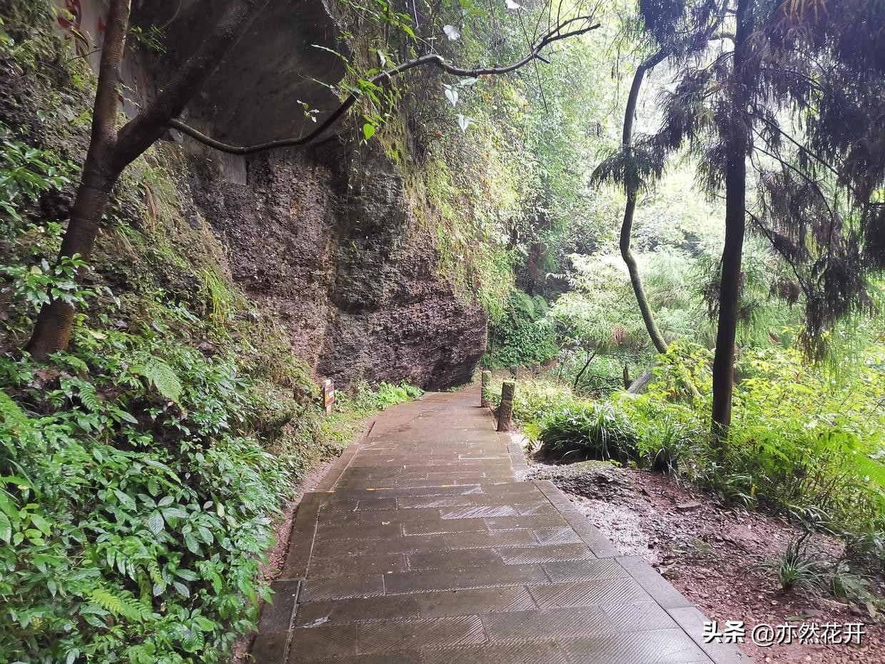 信息简报的写作技巧是什么呢,公文简报写作基础知识大全