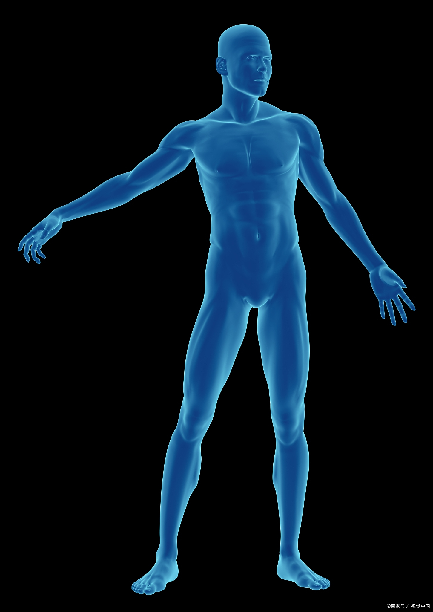 治心肾两虚失眠中药,治疗心阴虚有热心烦失眠的中药