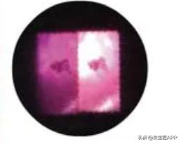 4种“窦娥冤”宝石盘点！委屈！明明是仙女但就是不上镜！