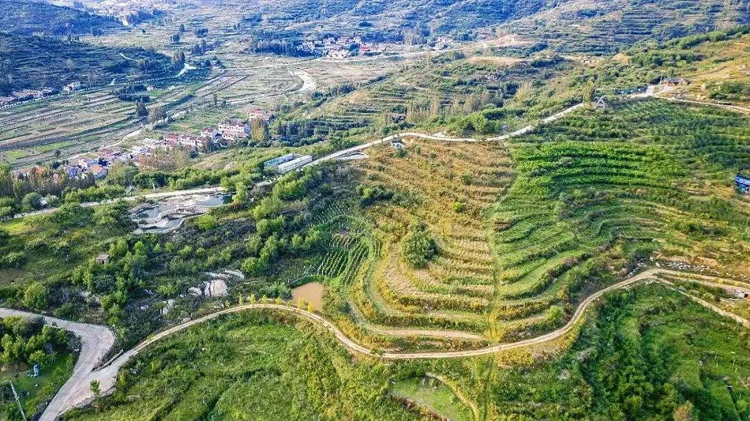 济南采摘园推荐最新,济南采摘园推荐秋季