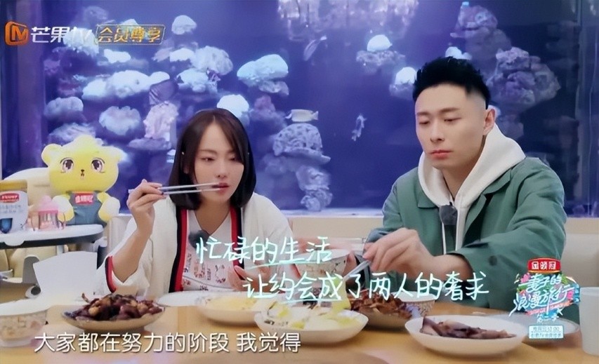 空壳太太张嘉倪,张嘉倪现状秦岚