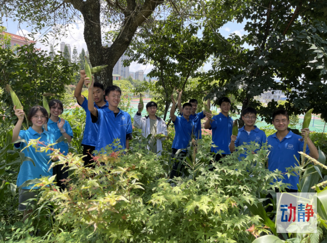 黔西南近几年教育的变化,黔西南教育发展