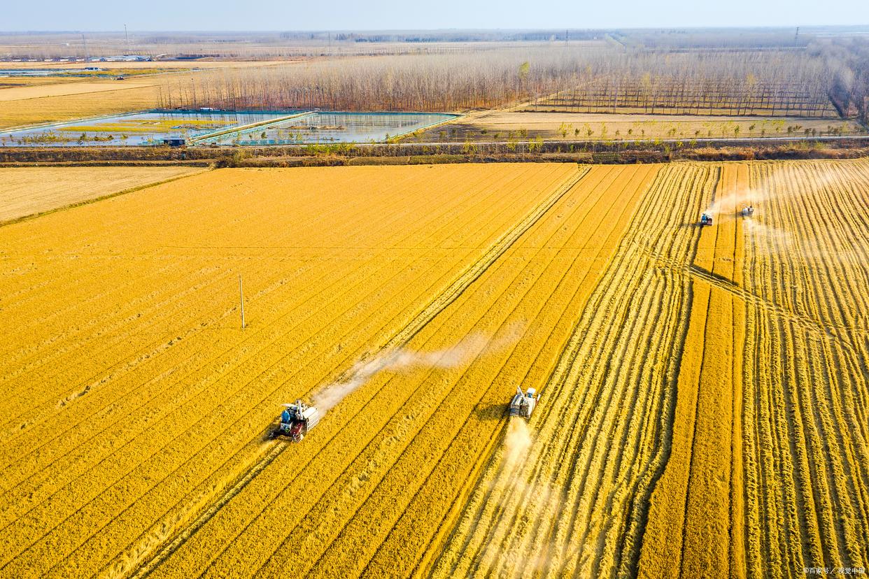 2023年农业的新政策补贴,国家2023年农业补贴包括哪些项目