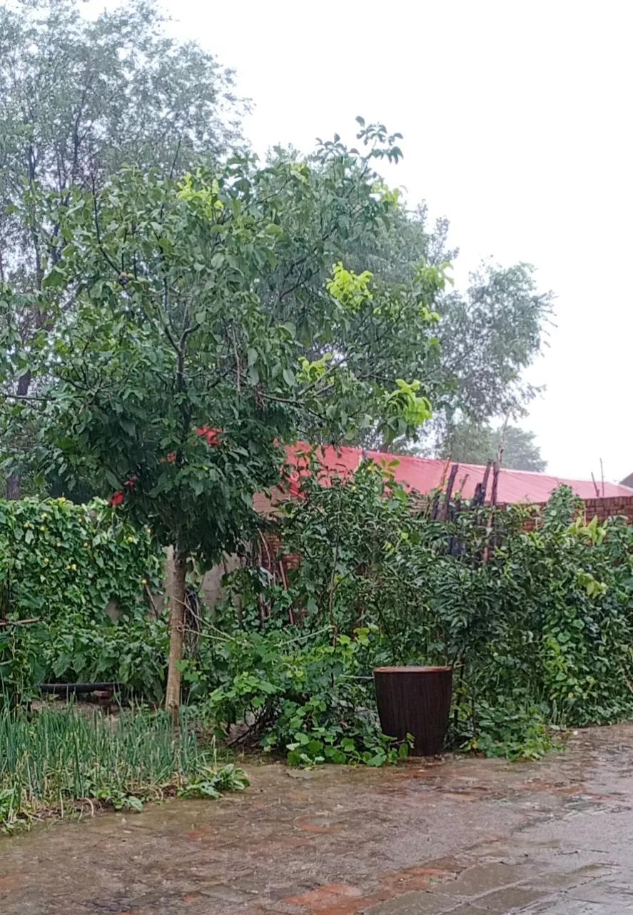 年后的冷清,年后冷清怎么形容