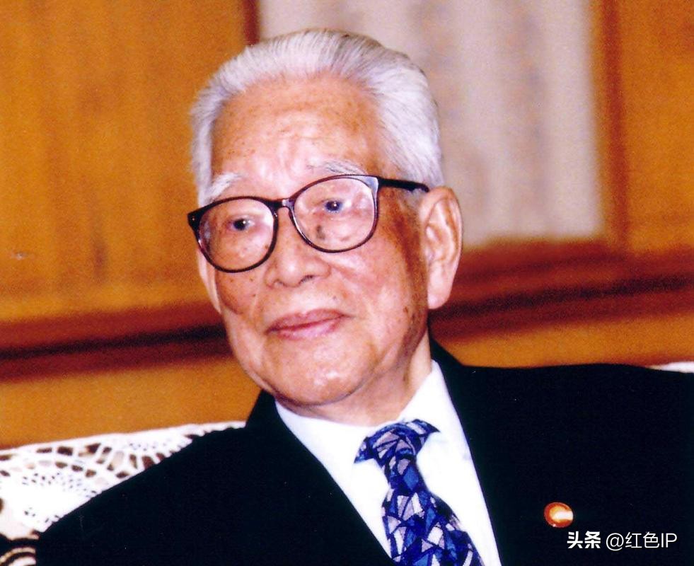 革文深度解析,革文才