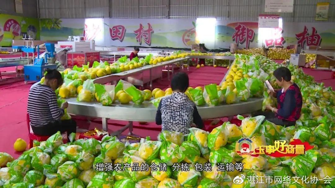 玉事好商量第5期,遇事好商量视频