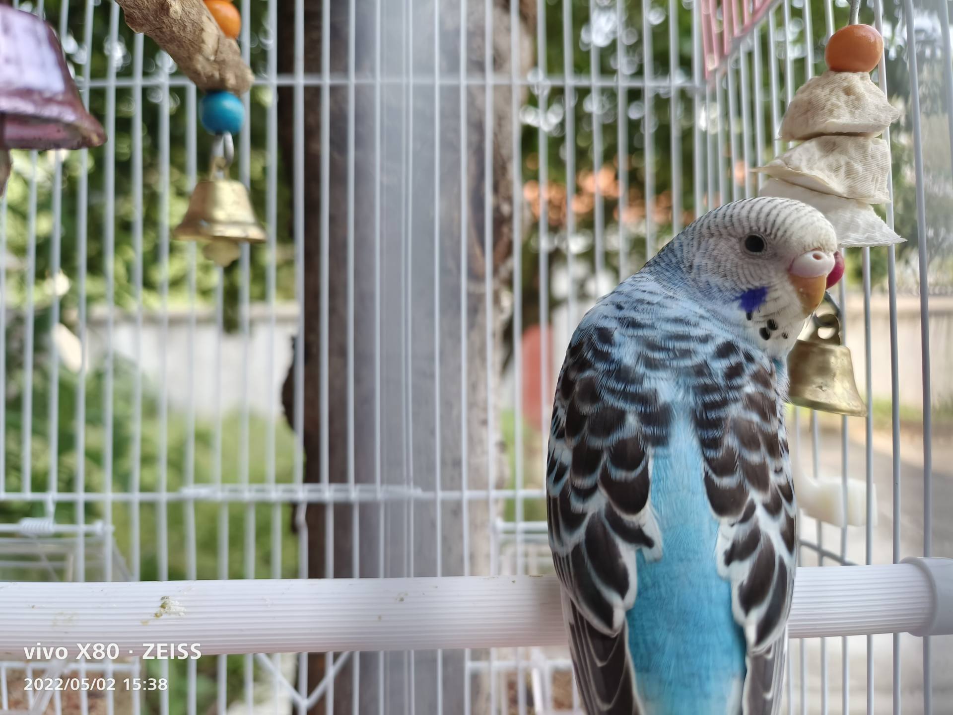 p30pro摄像头实测,小湃p30摄像头怎么回看视频