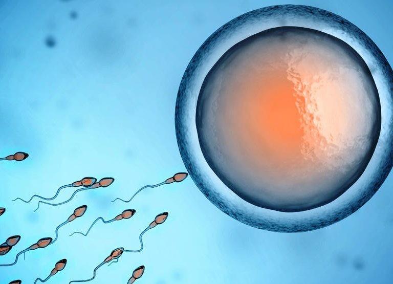 只有一个精子怎么会有双胞胎,只有一个精子正常能受孕吗
