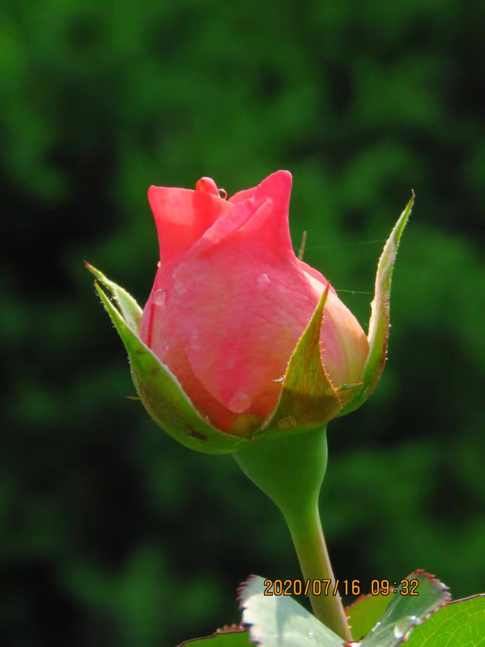 “以我为主”地忽略“事”的经过——浅尝辄止、先喜后忧的根源