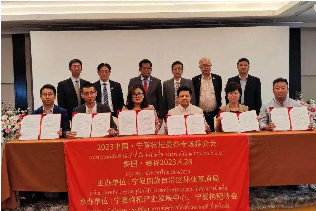 品牌打造贵在持续！宁夏枸杞不断拓展国内外“朋友圈”