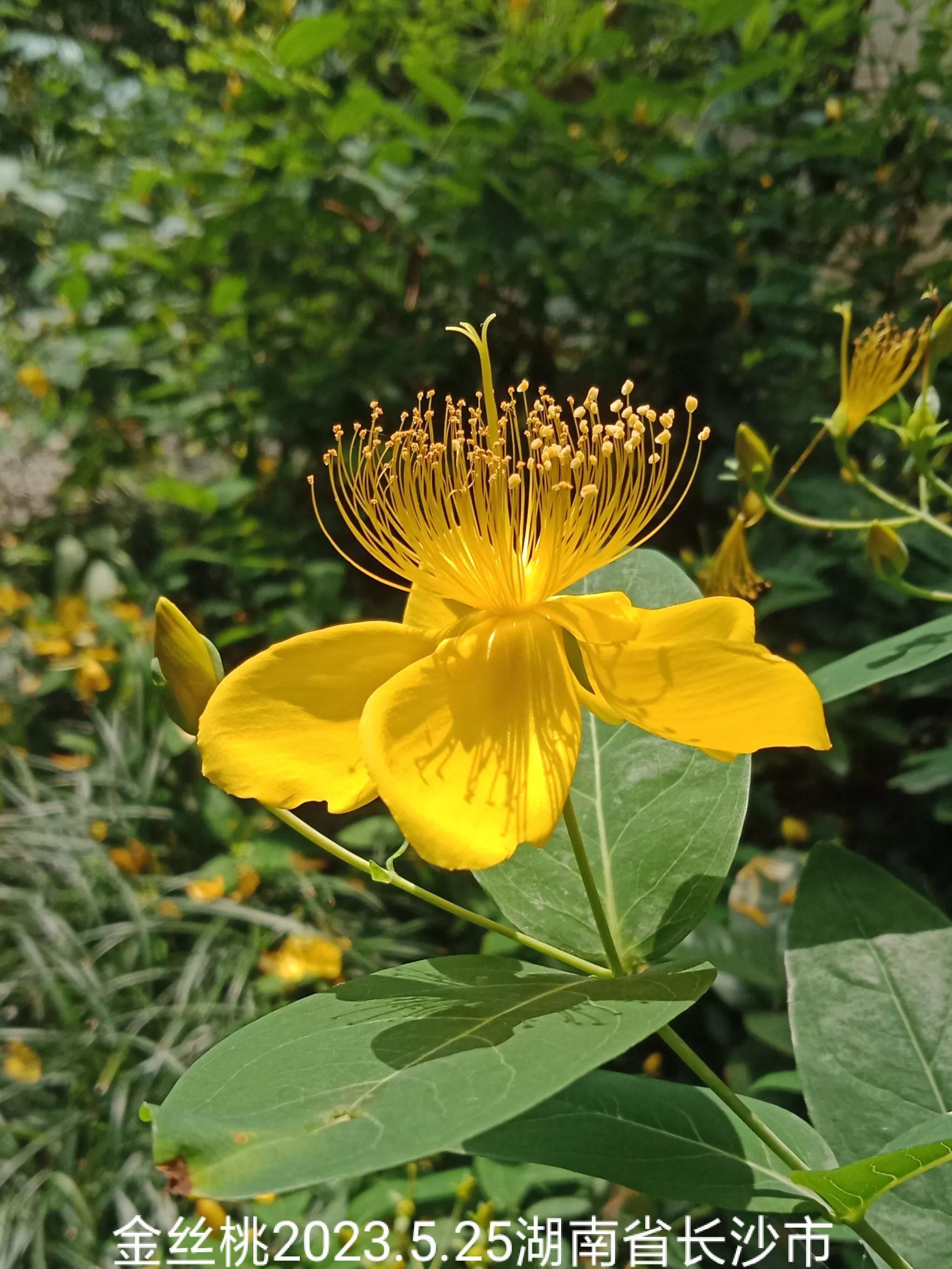 怎么找回没保存丢失的微信群,怎么找回没有保存的微信群