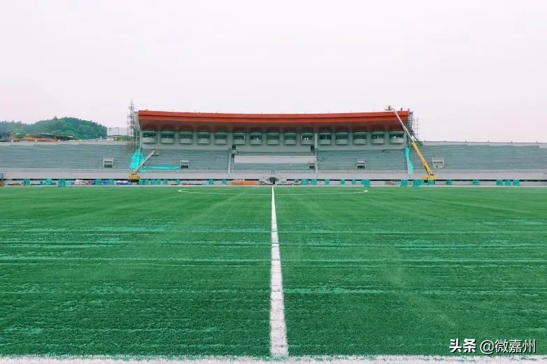 我为巴中农村产品代言,我为家乡代言四川恩阳演讲稿