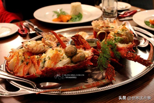 澳大利亚旅游知识大全,澳大利亚旅游攻略详情介绍