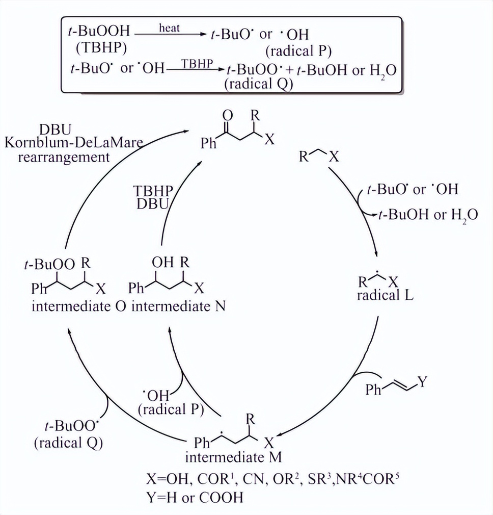 苯乙烯衍生物的γ－酮腈等系列双*能官**团化反应研究|科技导报