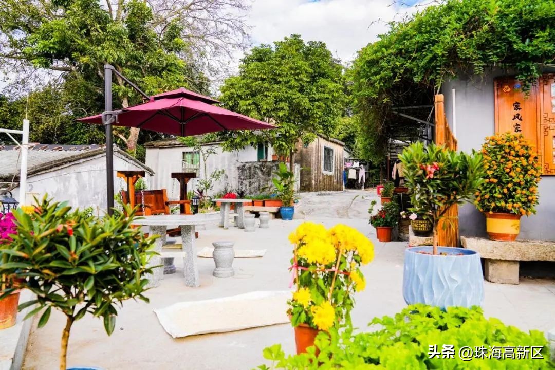 家门口的公园也有别样的风景,家门口的超美公园