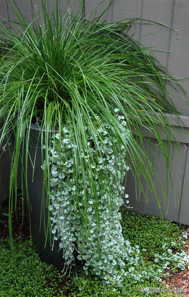 小而美的院子,小而方正的房间怎么设计民宿