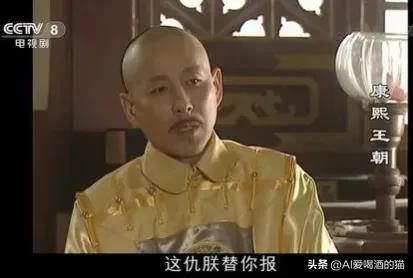 康熙王朝里的康熙帝,康熙王朝皇帝继位片段