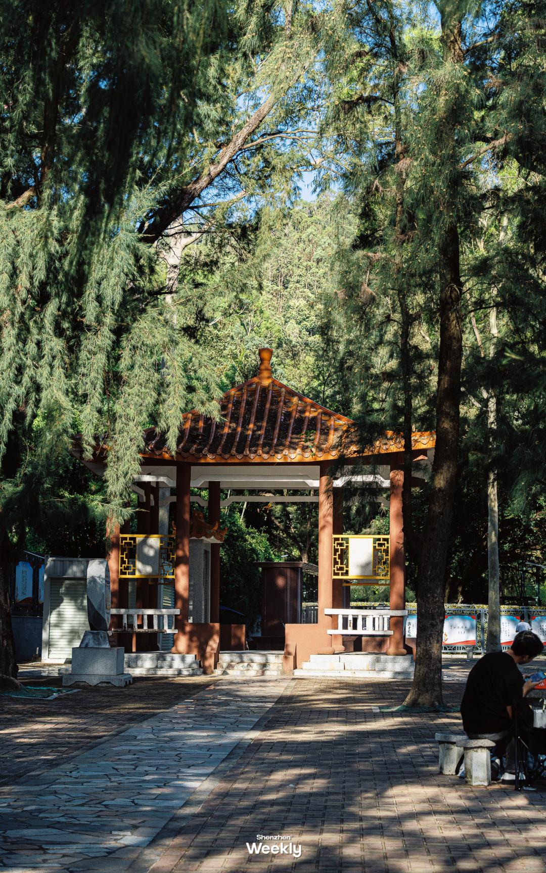 深圳玻璃海适合什么季节去,深圳适合藏玻璃海的地方