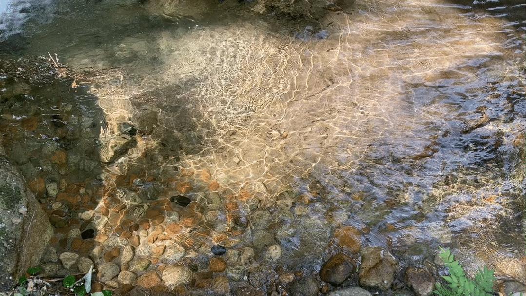 秦岭红河谷可以露营吗,秦岭红河谷之谜