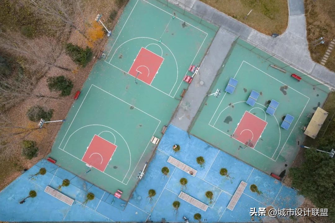 成都值得一游的公园,夏季成都宝藏公园