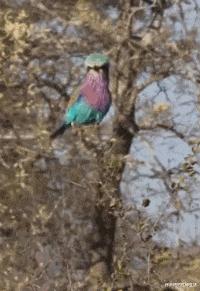 女友是太平公主,说女朋友是太平公主怎么哄