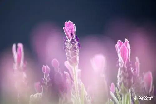 在你困难时遇到朋友借钱该怎么办,别人在你困难时借钱给你还不该要