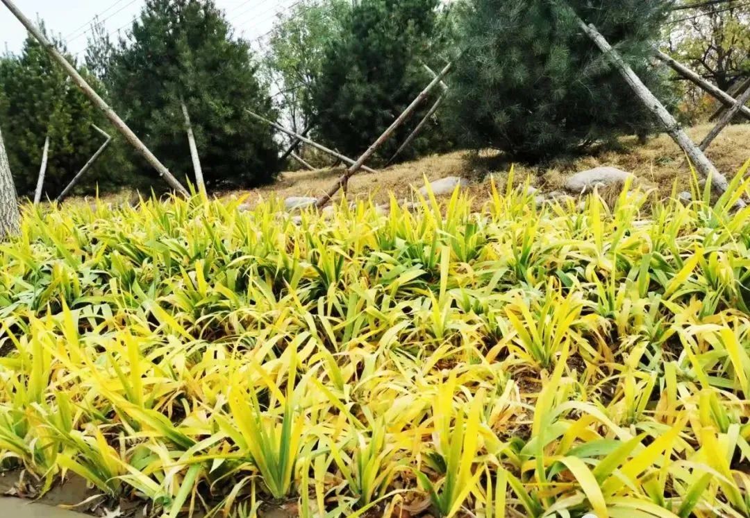 石景山区回迁安置房多少钱,石景山白庙村安置房