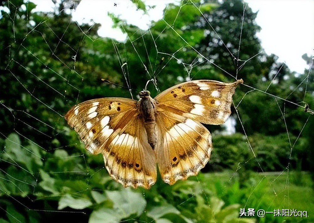 安全哲理小故事大全,短篇哲理小故事大全