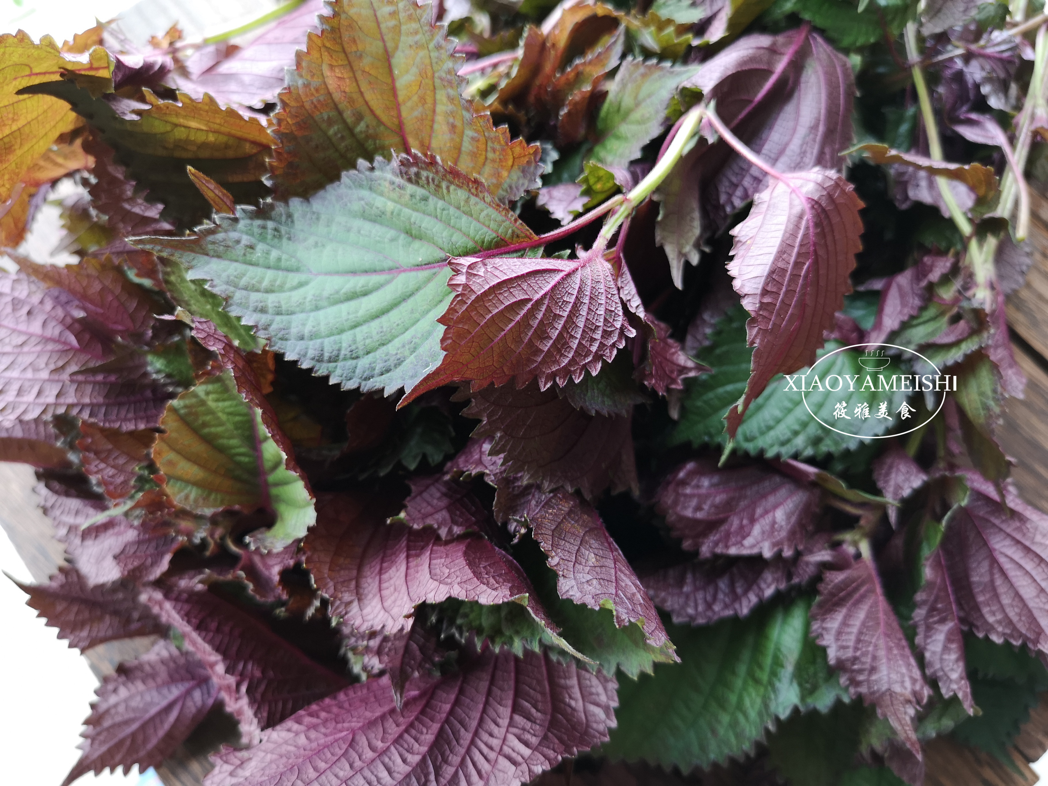 一位餐饮人的肺腑之言,怎样煮鱼不腥而且入味又好吃