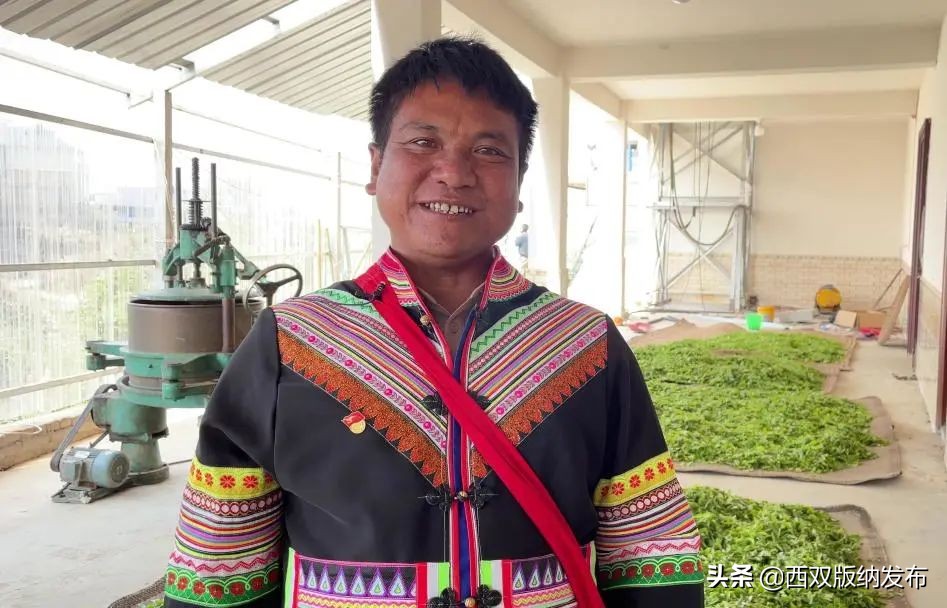 勐海贺开古茶,勐海贺开古茶资源开发有限公司