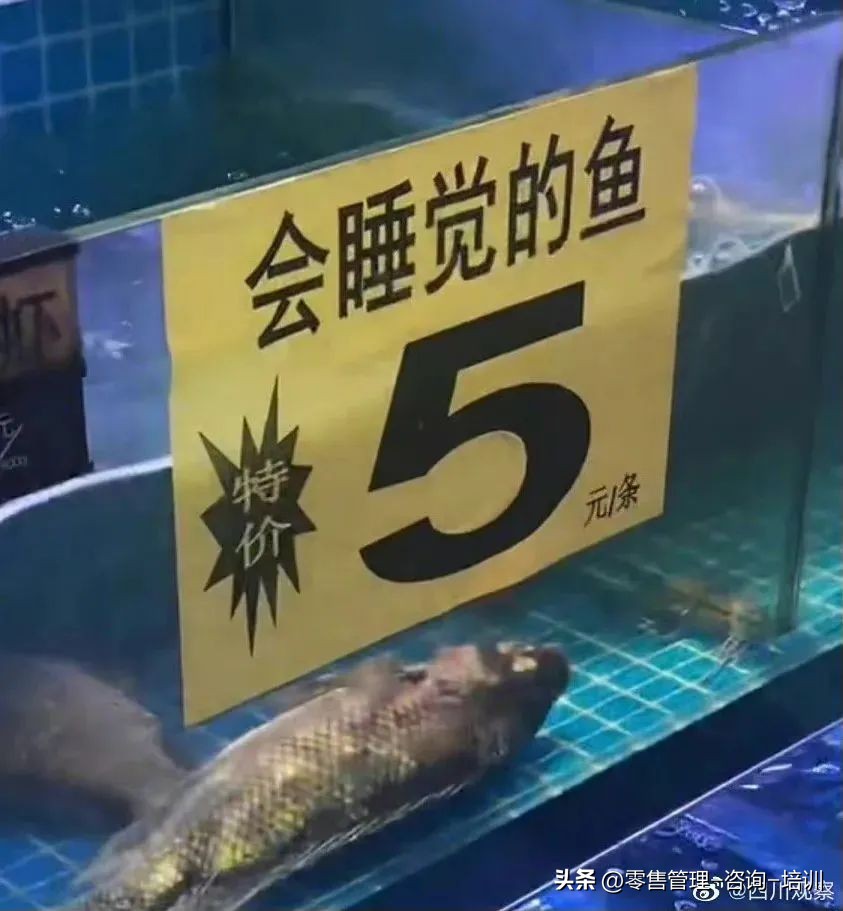 超市人性营销,超市就是我的快乐源泉