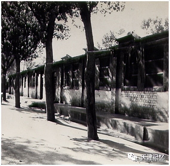 天津一中导览图,天津一中印记