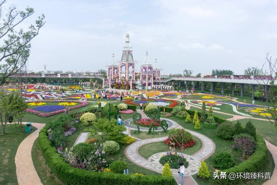 国家森林公园推荐,15个适合周末游的森林公园