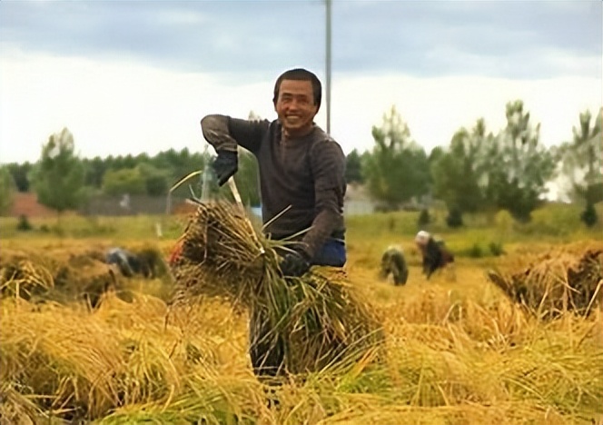 乡村振兴收入变化情况调研,去农村调研农民收入有哪些难点