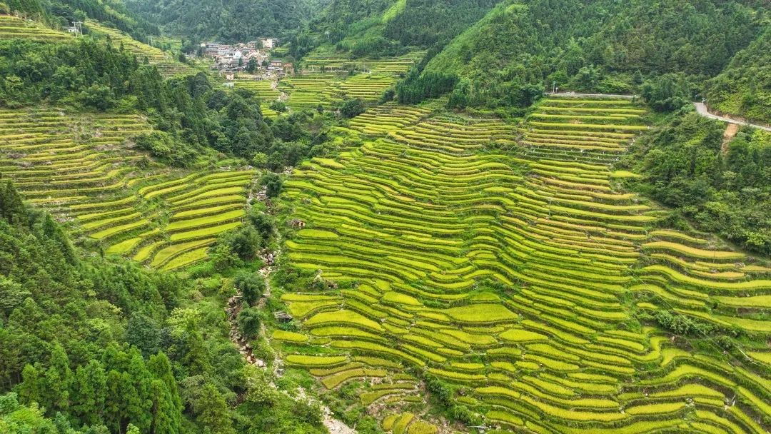 韶关秋天哪里有美景,韶关秋天美景