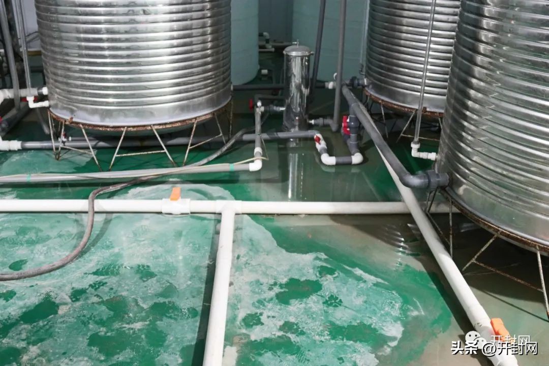 桶装水水质检测去哪里查,桶装饮用水开封一个月